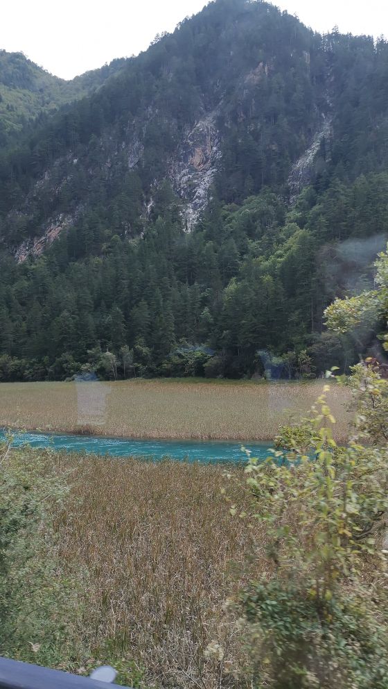 九寨沟旅游攻略自由行详细路线图,九寨沟旅游有什么最佳旅游路线