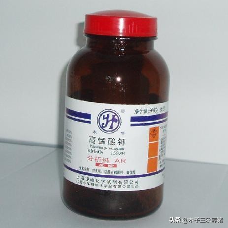 母猪产后胎衣不下，怎么办？别焦急，看山区老养猪人怎样处理