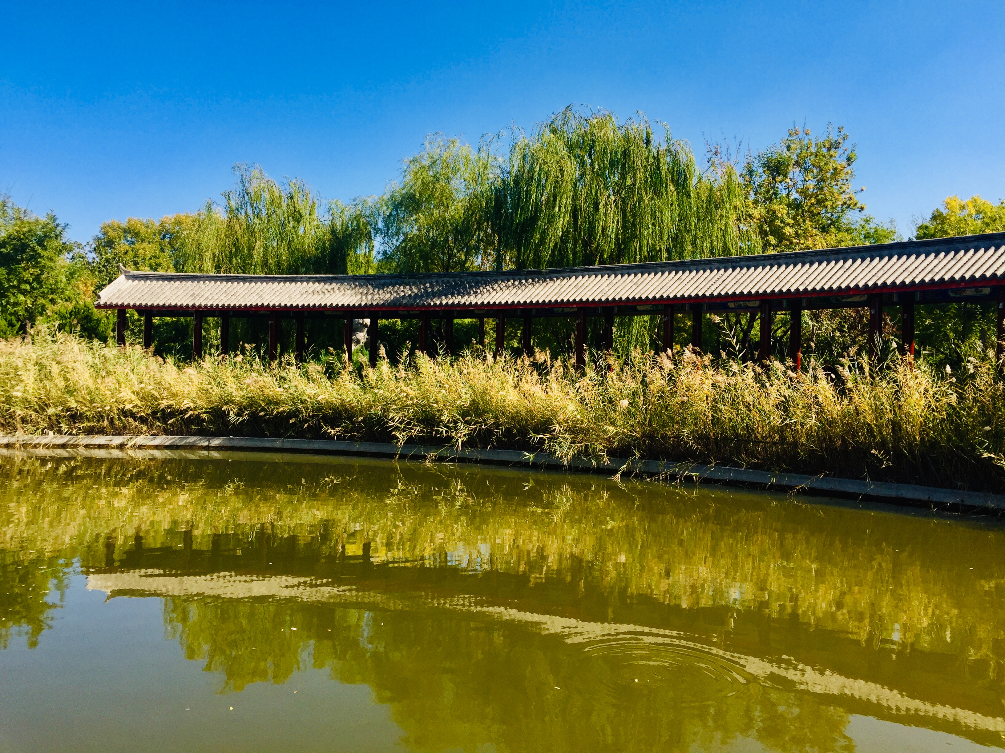 天津森林公园儿童乐园项目介绍,滨海新区适合带孩子玩的公园