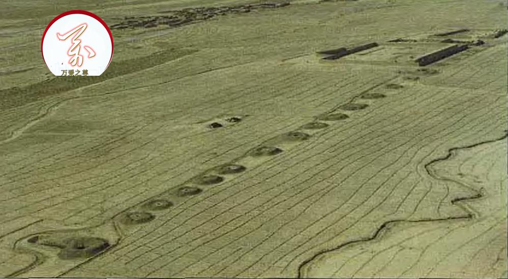阿富汗战争美军的战略战术,阿富汗战争中塔利班的武器大盘点