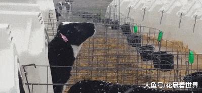 有一个很污的女朋友是一种什么体验?一言不合就开车，哈哈哈哈哈!