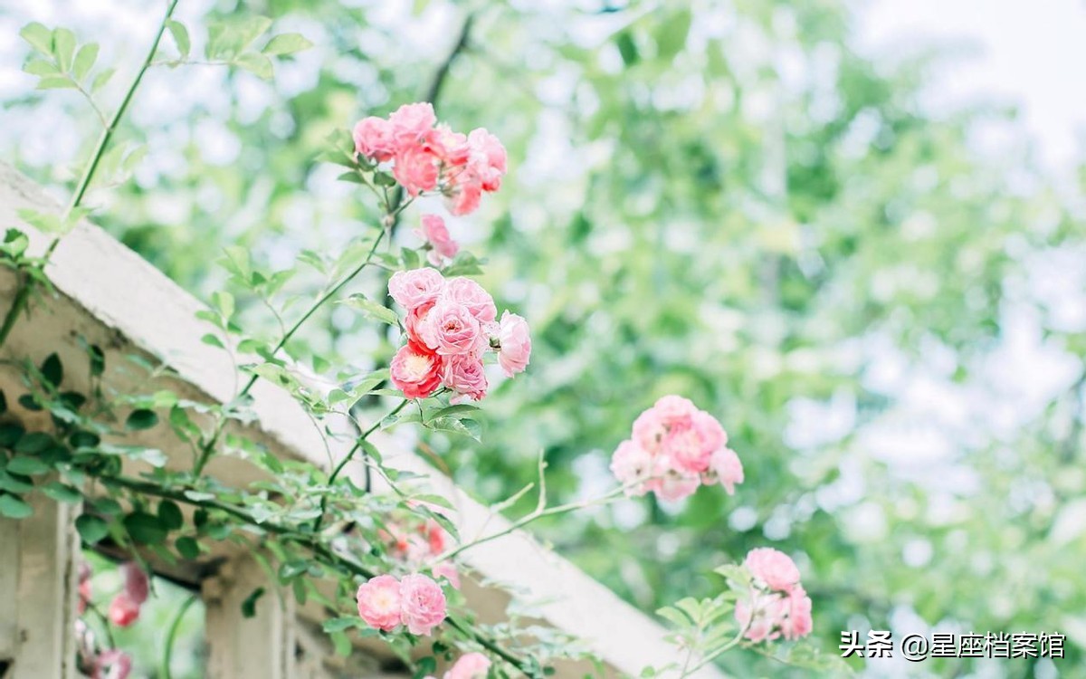 性格强势绝对不好惹的三个星座女,这些星座女野得很又撩人又不好惹