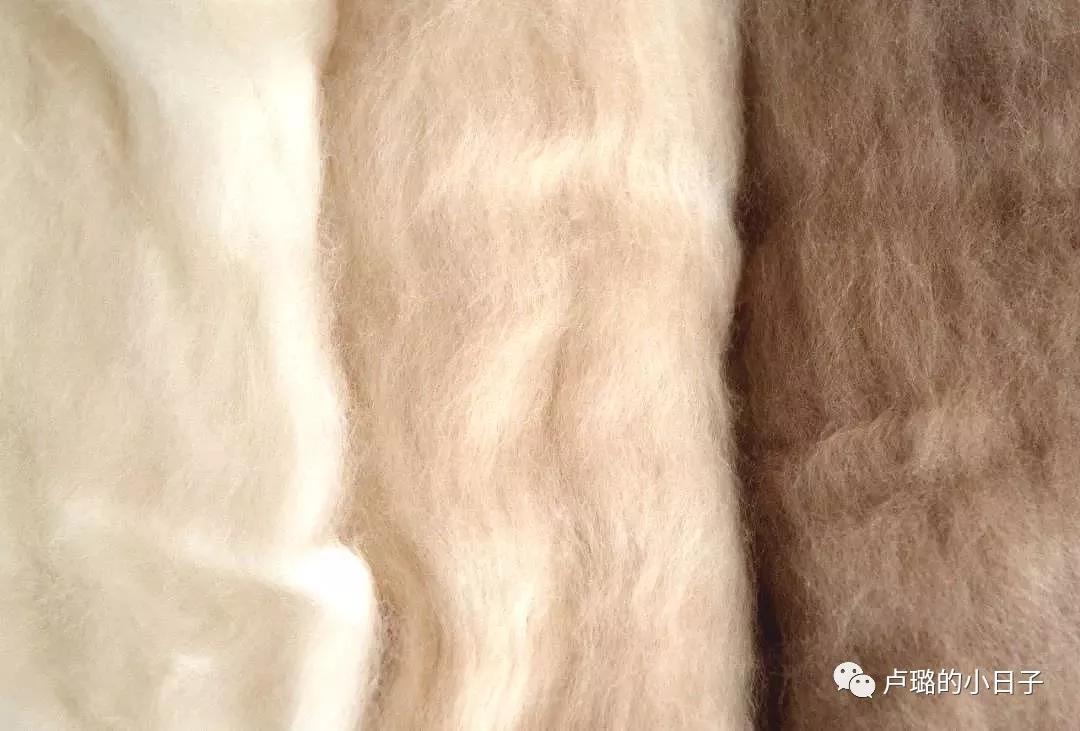 maxmara厚实又经典好看,maxmara凭什么惊艳了