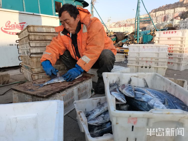 秋冬是进补的好时节,秋冬滋补好时节