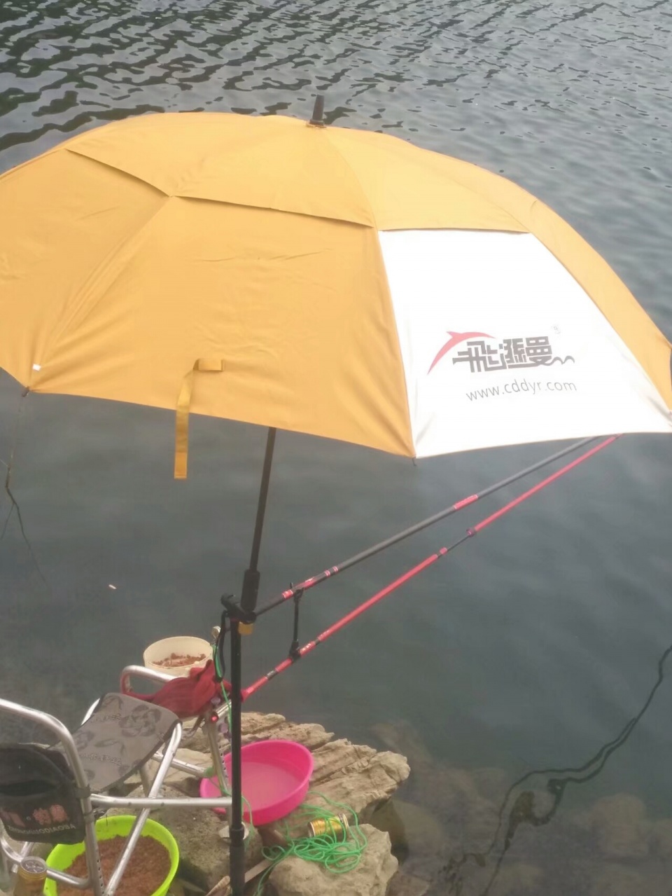 夜钓最佳上鱼时间秋季,初秋夜钓最佳上鱼时间