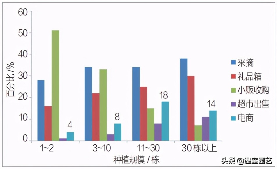 草莓电商是怎么赚钱的,电商发展对城市的影响