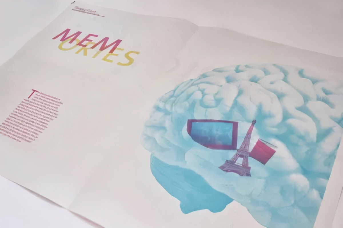 报纸的版式结构图,报纸版面编排特点