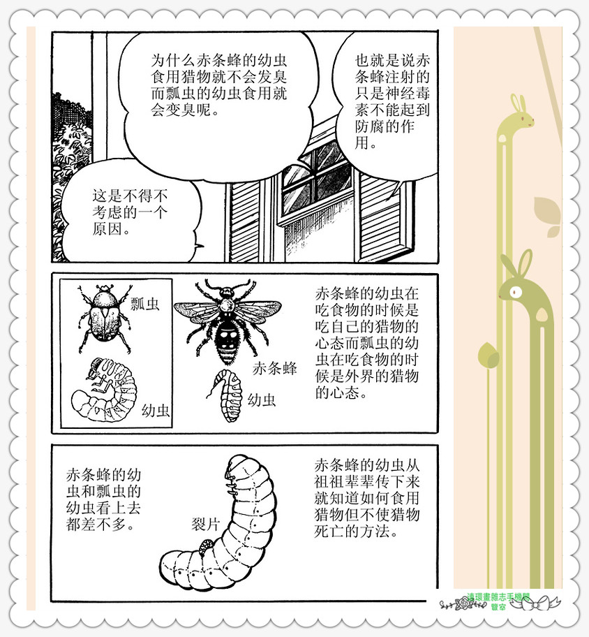 昆虫记法布尔动画片,昆虫记法布尔全套