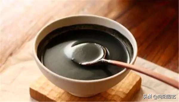 绿萝吃水很厉害,绿萝长得太快了