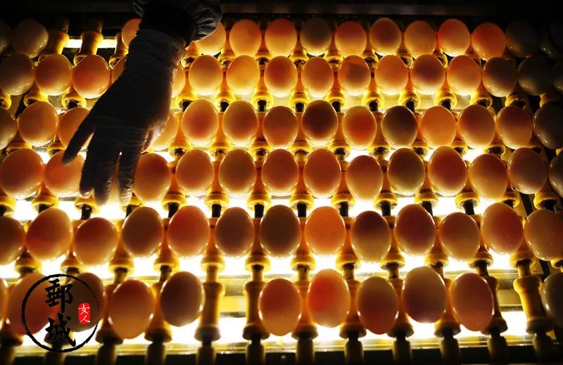 高邮咸鸭蛋什么季节吃,高邮咸鸭蛋几月好吃