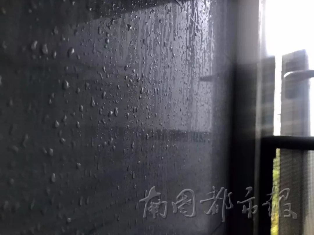 衣服不干、地板打滑、墙壁冒水，这样的回南天受不了啦！