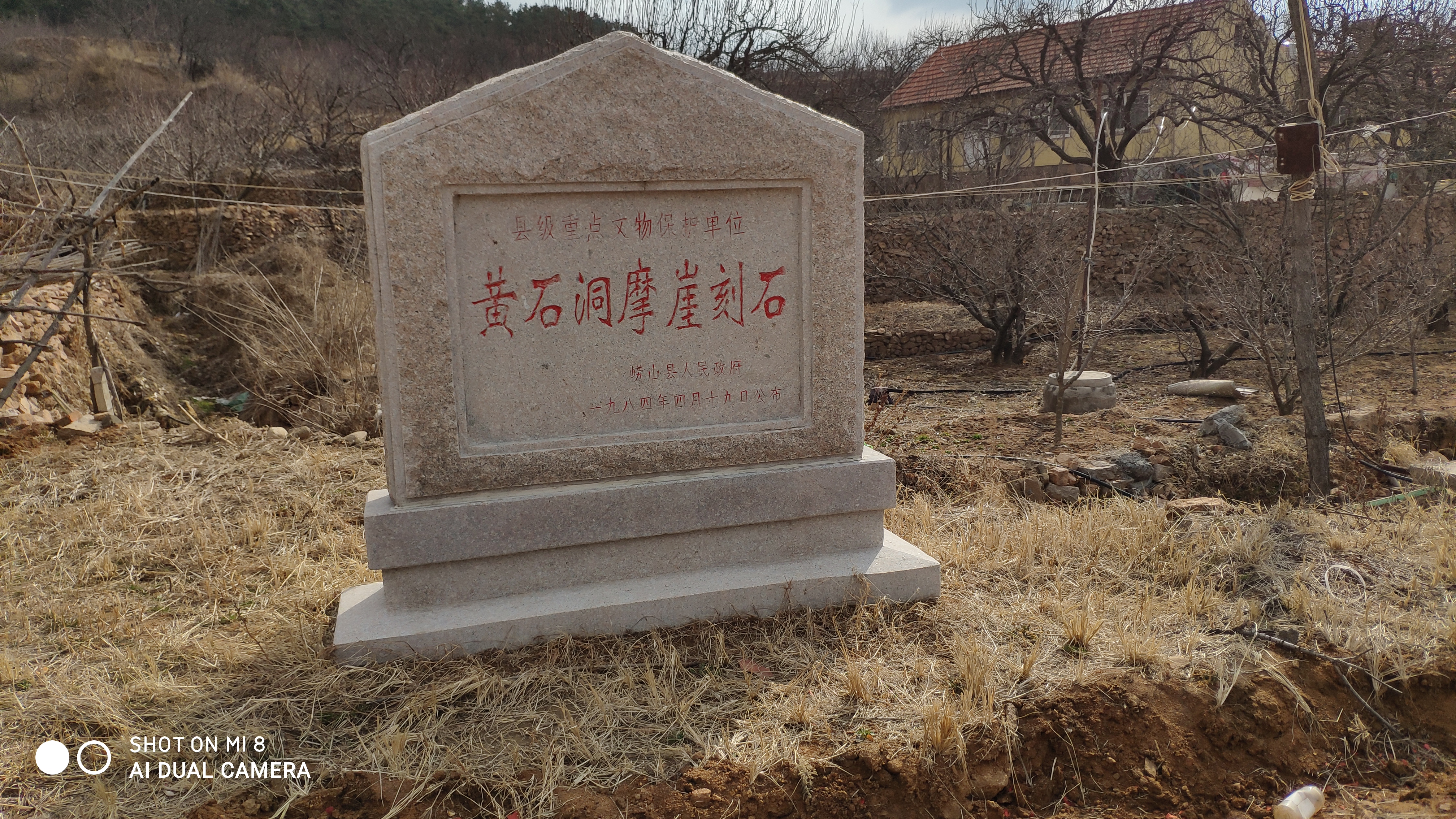 崂山水畔菜蔬鲜，黄石洞中书韵长