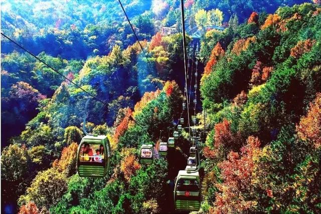 湖北深秋自驾游景点推荐,秋色彩林川西自驾