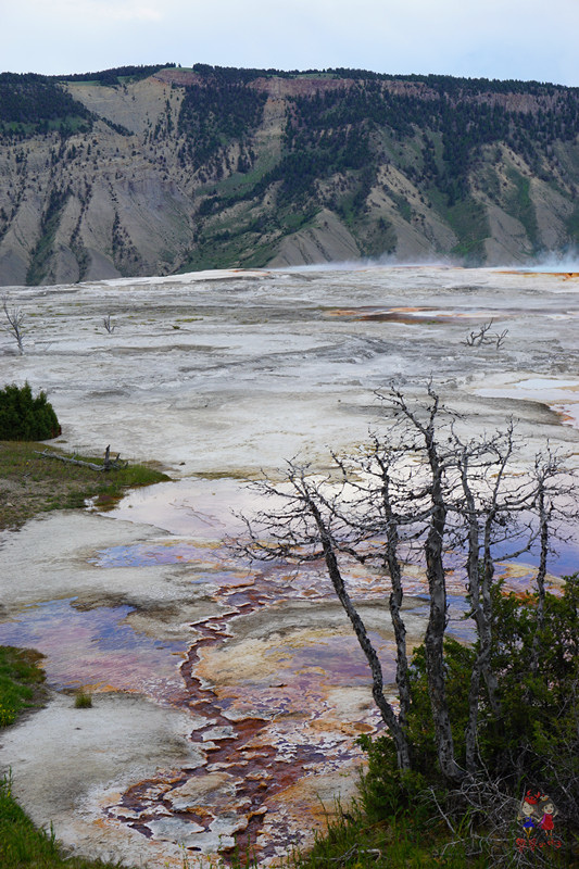 美国黄石国家公园是什么气候,美国黄石国家公园是丹霞地貌吗
