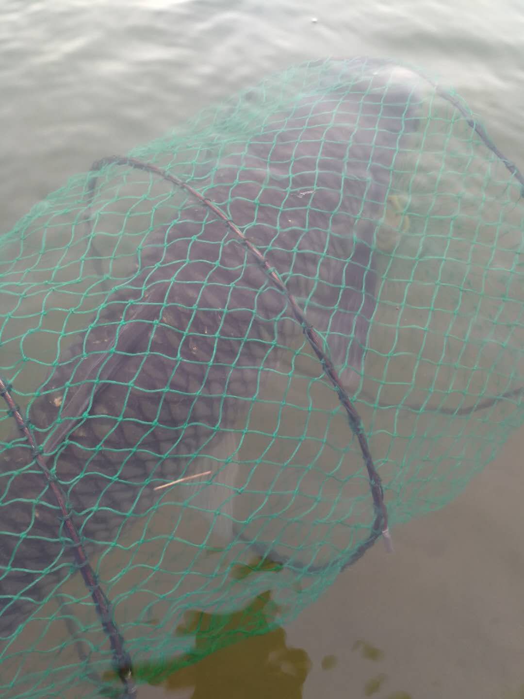 pe线主线和尼龙线子线搭配方法,尼龙线当子线好还是pe线当子线好