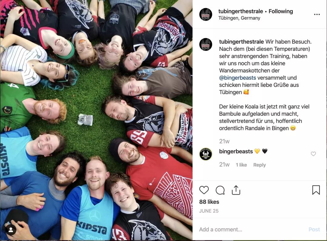 我在德国,我在德国的经历