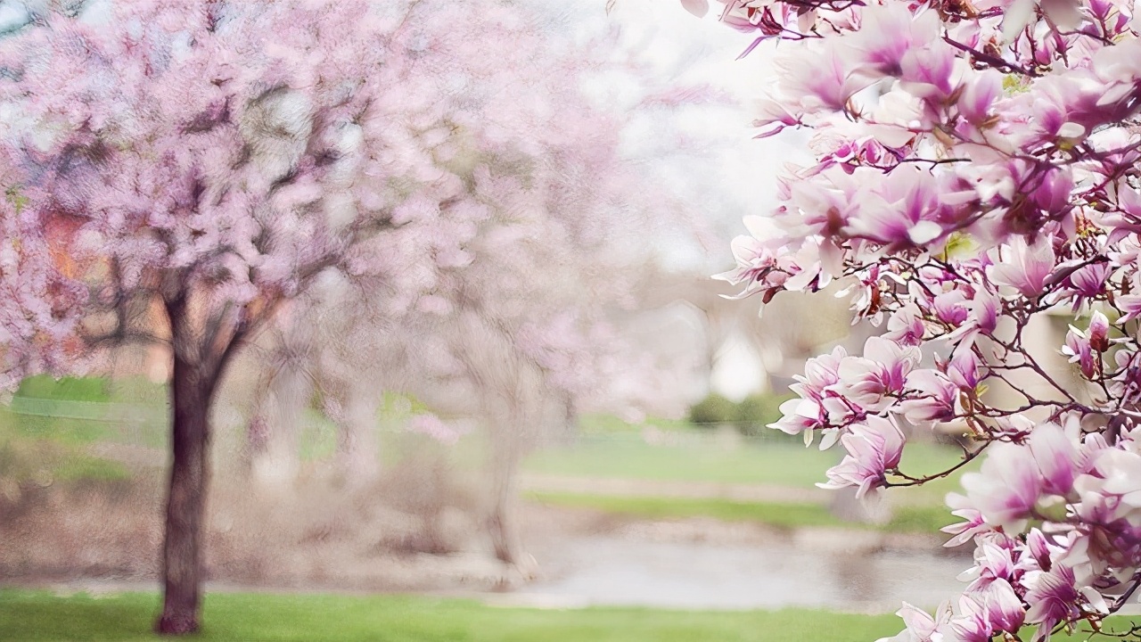 为什么有的女生没人追没男朋友,没人追也很好追