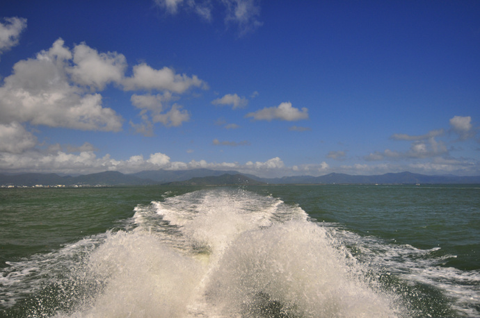 全民热遗｜大堡礁上有个翡翠岛，绝美好玩，还是海龟康复中心