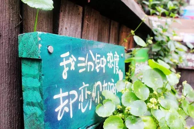 西塘故事,在西塘等你的故事