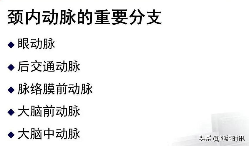 脑动脉解剖学讲解,基底节区脑血管解剖