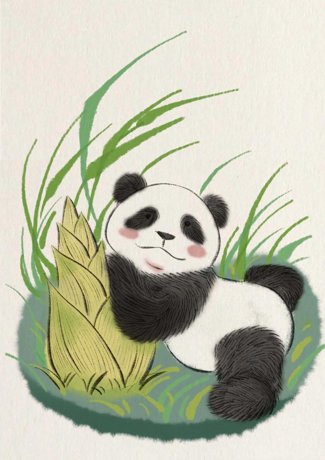 小熊猫卡通头像大全可爱,可爱叮当猫动漫头像