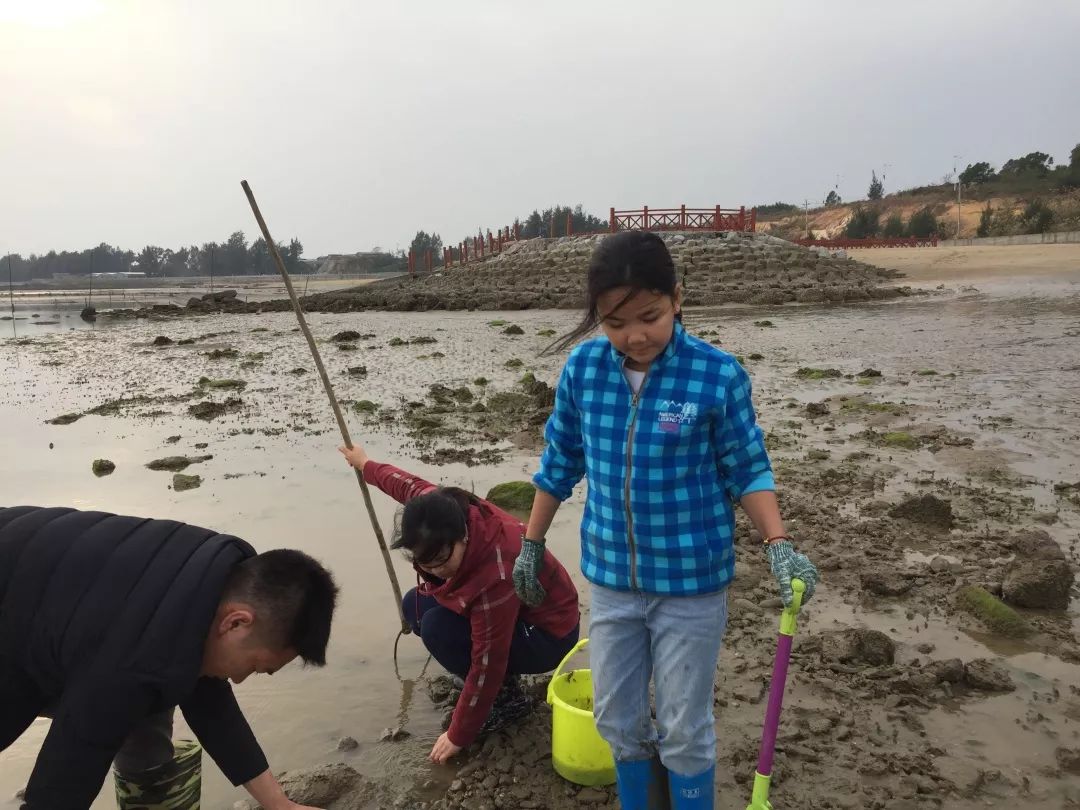 钦州三娘湾寻找白海豚,钦州三娘湾中华白海豚咬不咬人