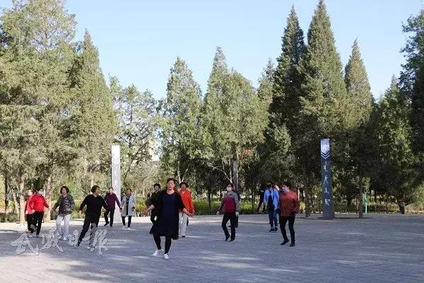 西郊公园游玩攻略,西郊公园今天开吗