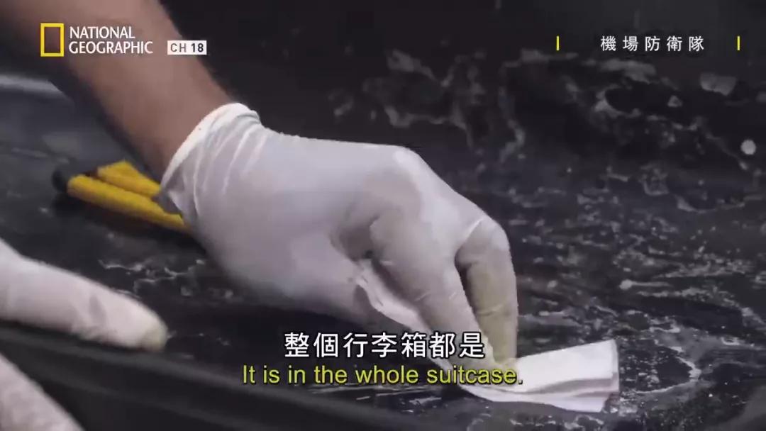 女子去马德里度假，行李箱居然是*品毒**做的？