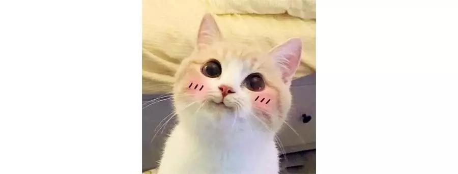 win10有没有好用的小技巧,我告诉你win10哪个版本最好用