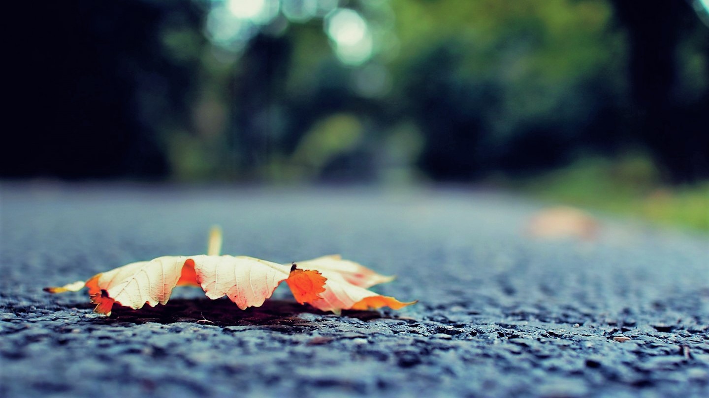 别在意别人说你傻,不要在意别人爱不爱你努力变优秀