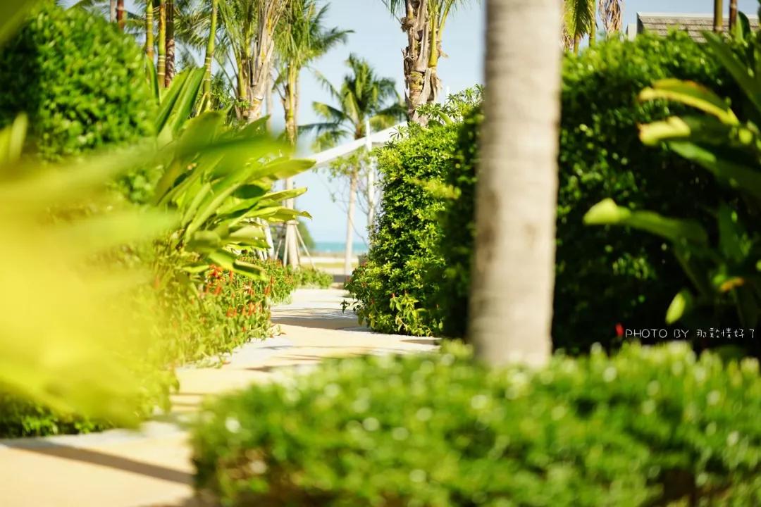 苏梅岛南查汶海滩因皮亚纳度假村,七天海岛度假游攻略