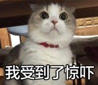 肚子越来越大要检查什么,肚子越来越大应做哪些检查