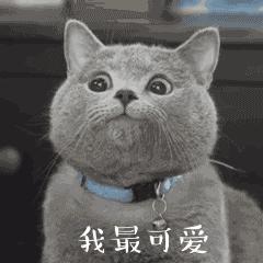 国家医保竟被如此“绑手绑脚”，面对大病能发挥哪些作用？