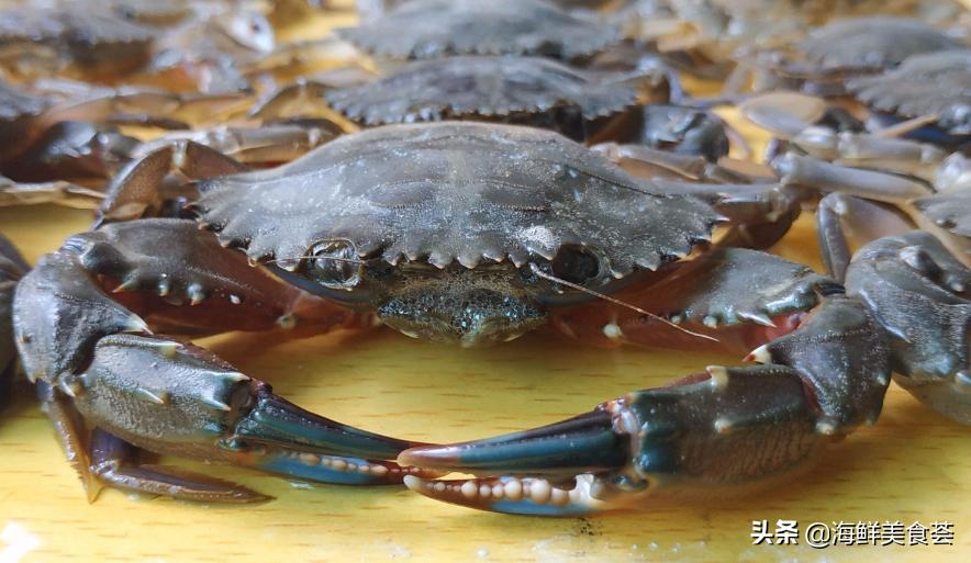 最好吃的海鲜城市排名,沿海城市海鲜又便宜又好吃