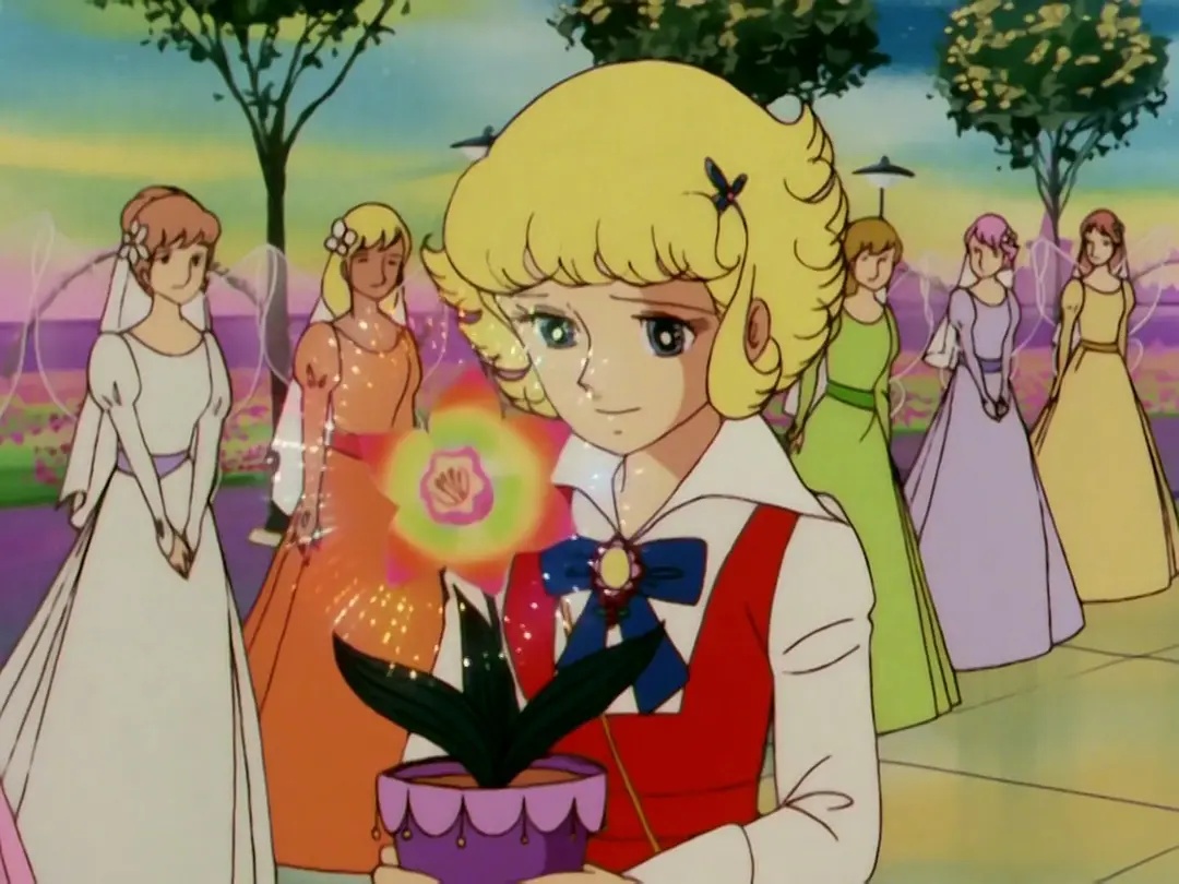 看熊出没这几年发布的所有动画片,以前看的熊出没是哪一部