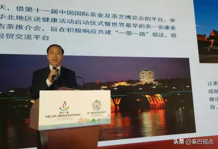 秦汉古茶价格,秦汉古茶图片