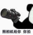 摄影入门该选哪个牌子的相机,从入门到入魔的相机机身选择