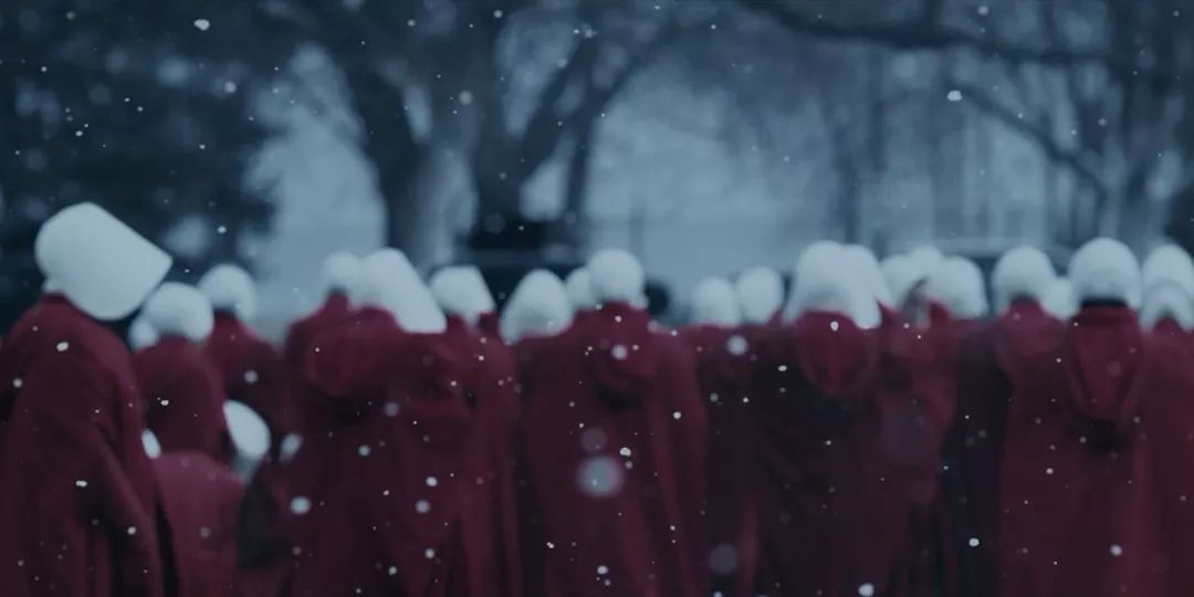 《华盛顿邮报》推荐1-100岁要读的书，30岁麻烦读《*爱性**圣经》