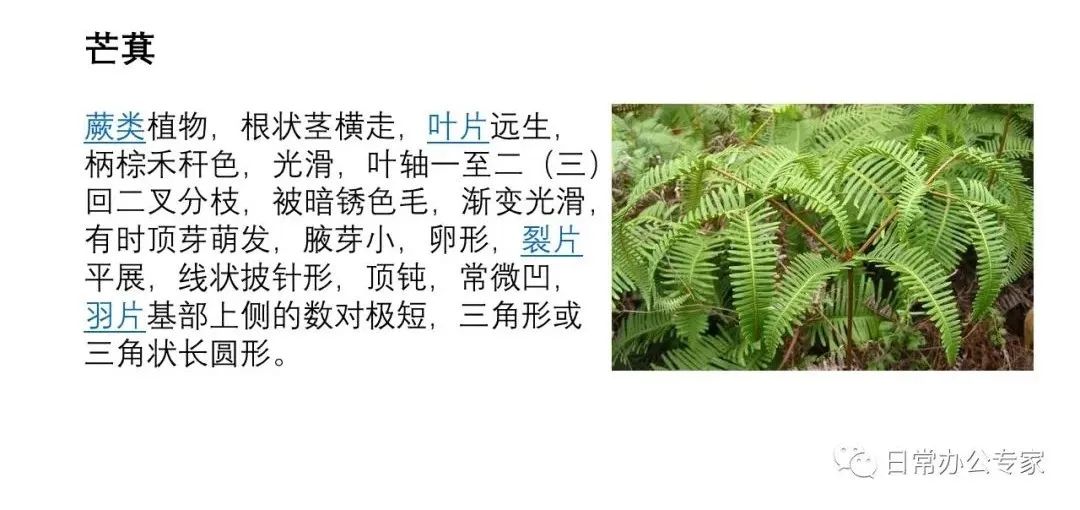 高大上的ppt首页,想做出好看的ppt试试这2个工具