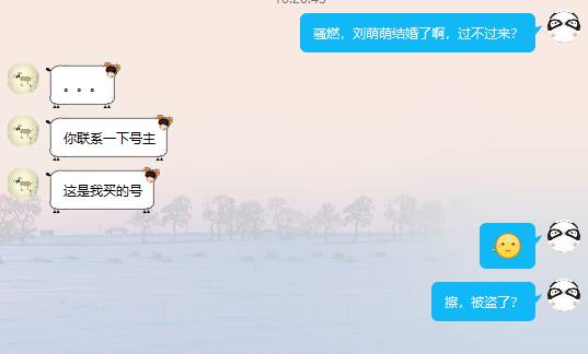 QQ无法登陆，连密保手机都被改了，险些与导师失联