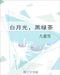 女主超级美是心机婊小说,女主是妖艳心机婊的小说