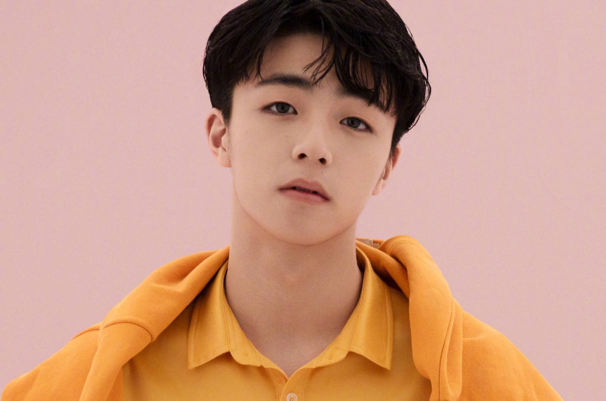 中国歌手王菲排名,王菲是有实力的歌手