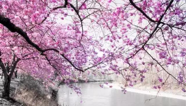 诗词经典绝美古文,50篇绝美小古文