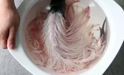 特点菜金毛狮子鱼,石家庄特点金毛狮子鱼