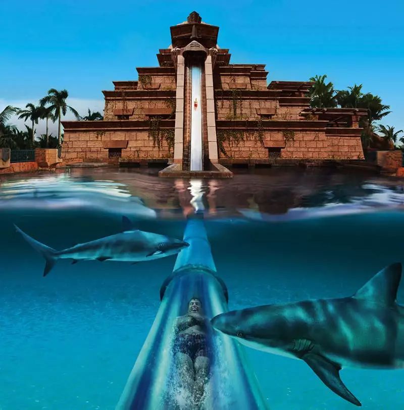 春节出境旅游迪拜攻略,去迪拜旅游哪个国家最便宜