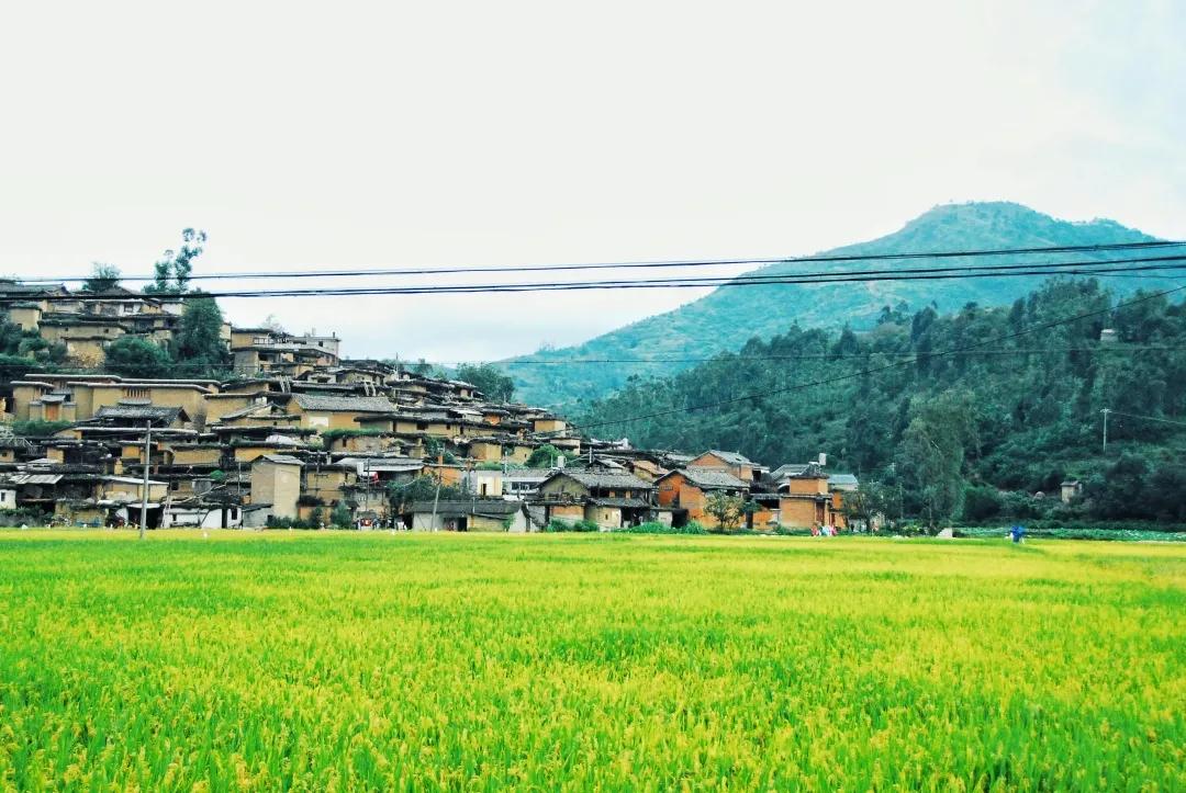 被烧之前的云南翁丁原始部落,我国最古老的村庄被烧毁