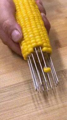 搞笑gif趣图这只狗狗是不是开挂了,搞笑gif趣图乌龟泼猴你别推我