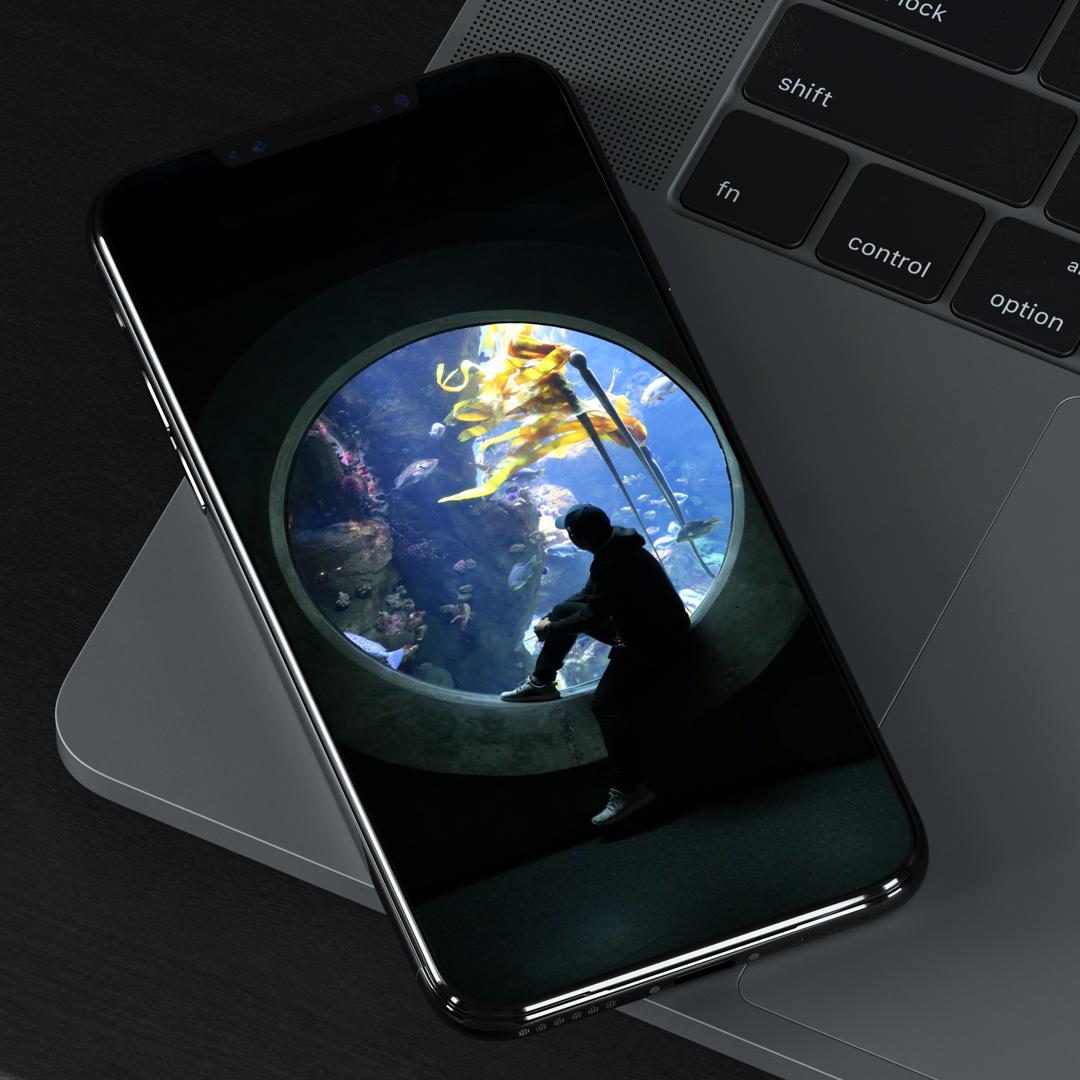 刘海屏手机壁纸苹果,iphone11桌面壁纸刘海屏