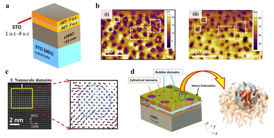 Adv.Mater:铁性薄膜和异质结拓扑结构的研究进展