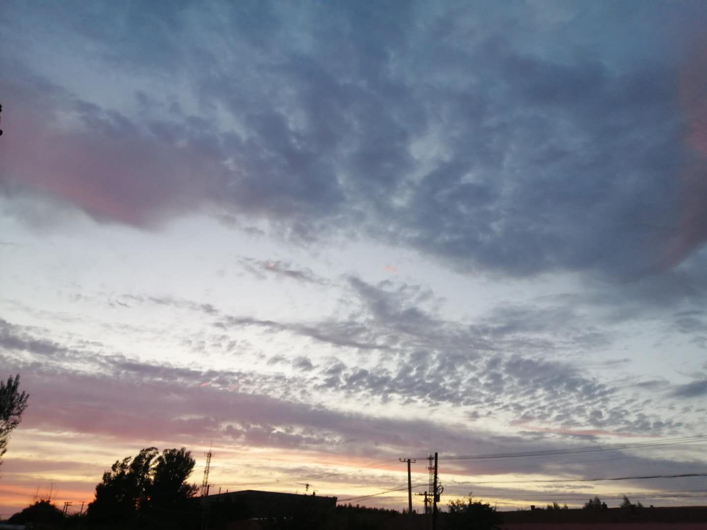 士大夫执笔，散文写下人间美食